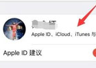 苹果手机怎么换ID账号？（切换ID账户详细步骤）